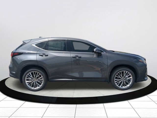 2025 Lexus NX 350 Premium AWD photo 3