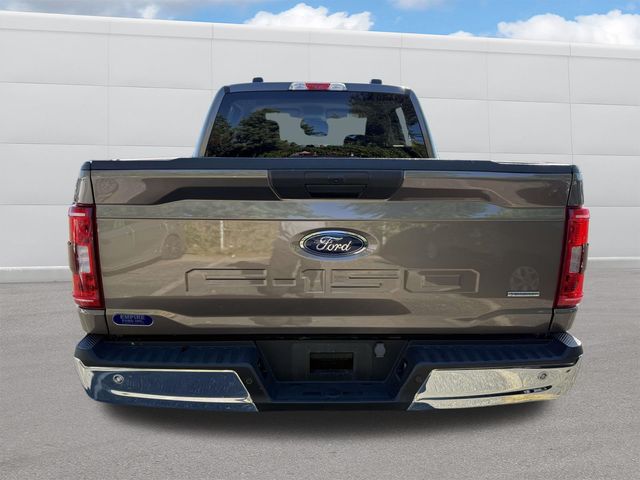 2023 Ford F-150 XLT photo 4