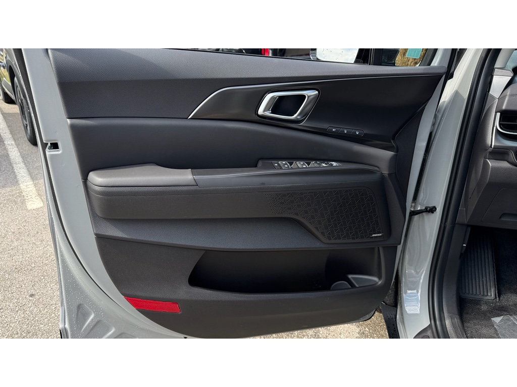 2026 Kia Carnival SX Prestige photo 19