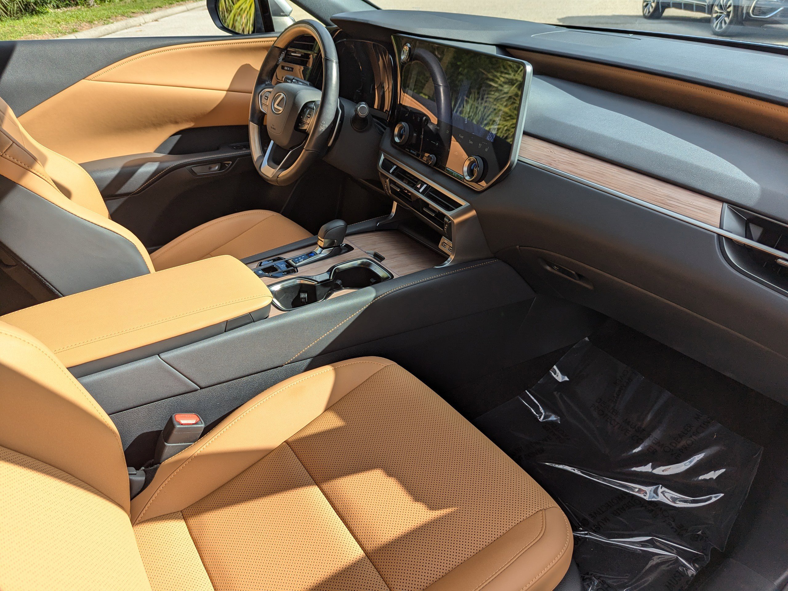 2025 Lexus RX 350 photo 13