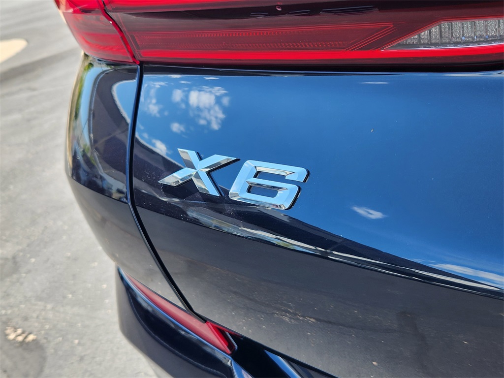 2023 Bmw X6 xDrive40i photo 15