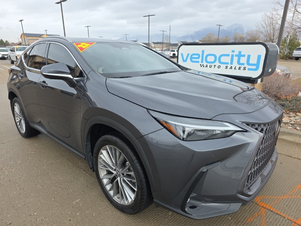 2022 Lexus NX 350's photo