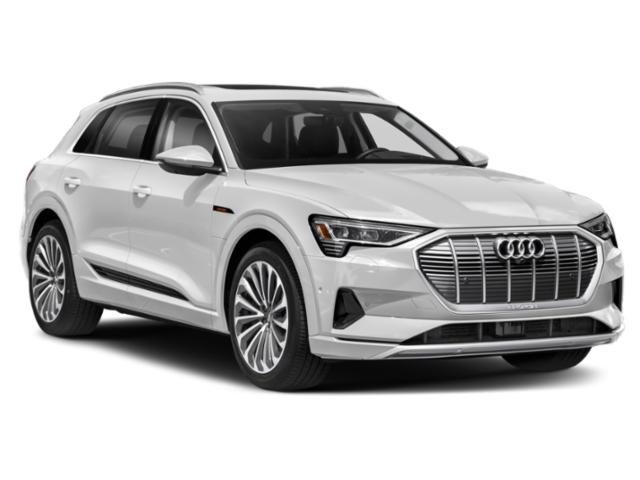 2022 Audi e-tron Premium Plus photo 8