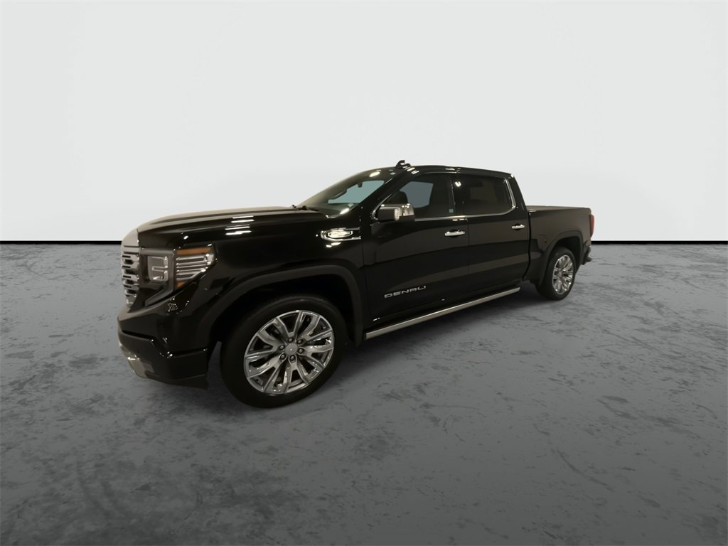 2023 Gmc Sierra 1500 Denali photo 4