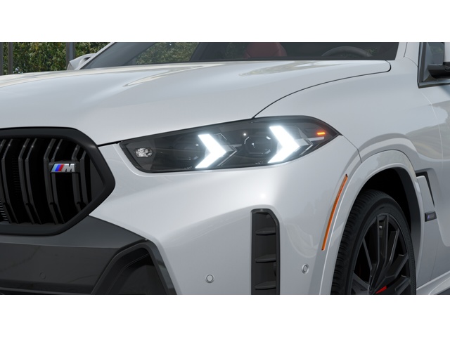 2026 Bmw X6 photo 5