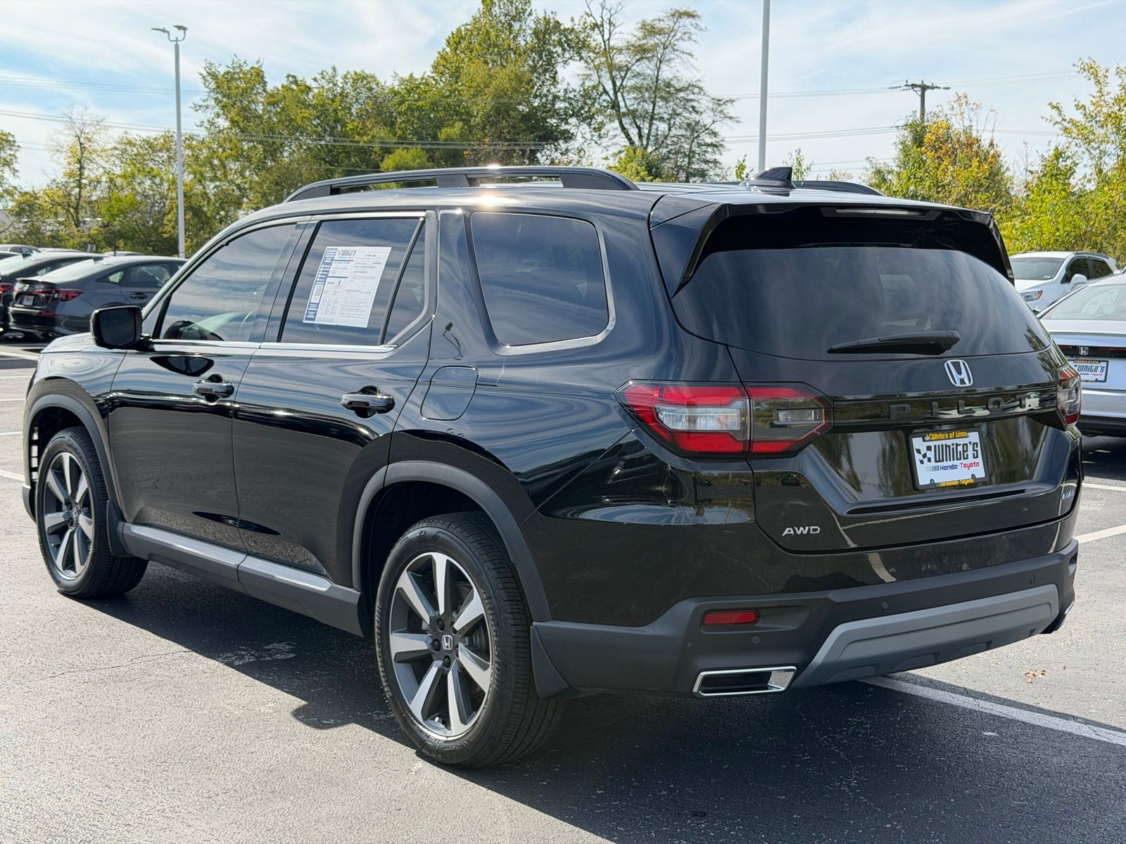 2025 Honda Pilot Elite photo 4