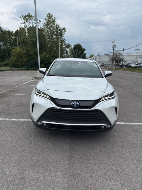 2023 Toyota Venza XLE photo 3
