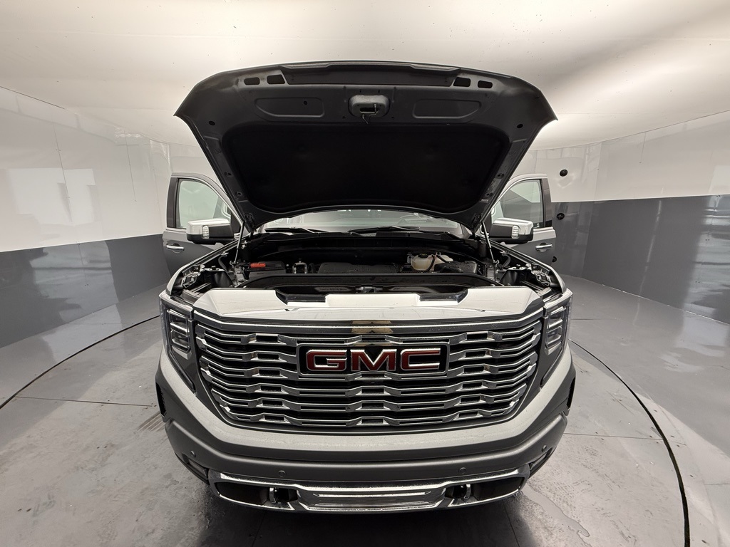 2024 Gmc Sierra 1500 Denali photo 10