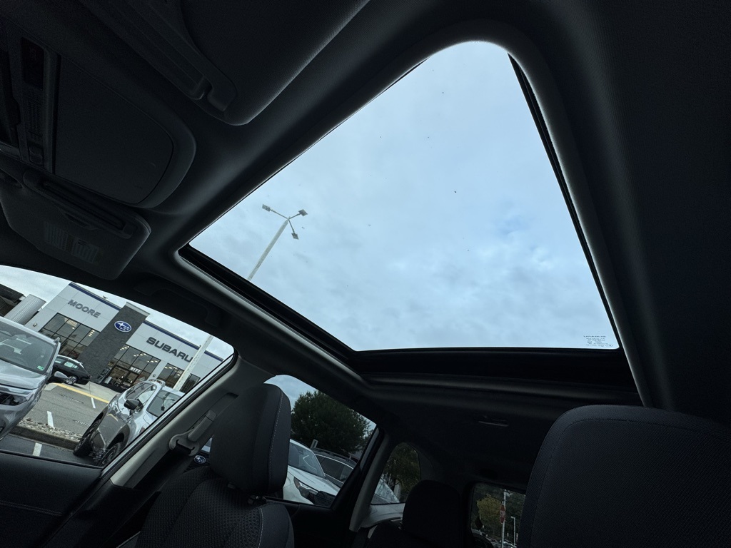 View 17