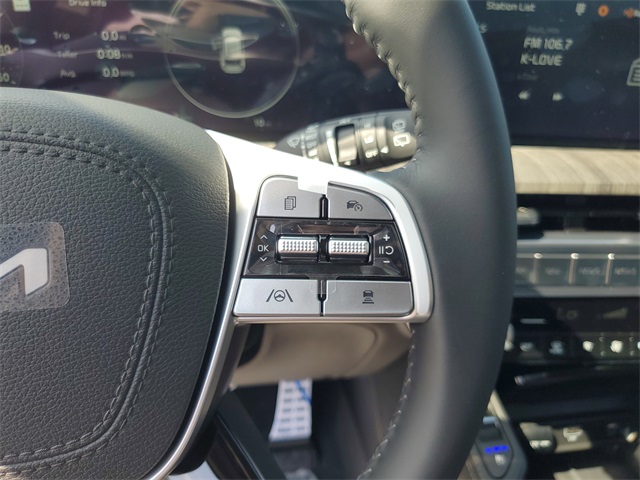 2025 Kia Telluride SX photo 17