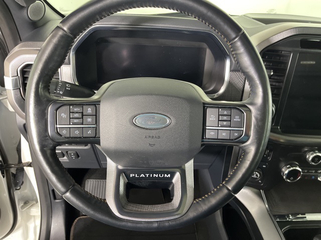 2021 Ford F-150 Platinum photo 17