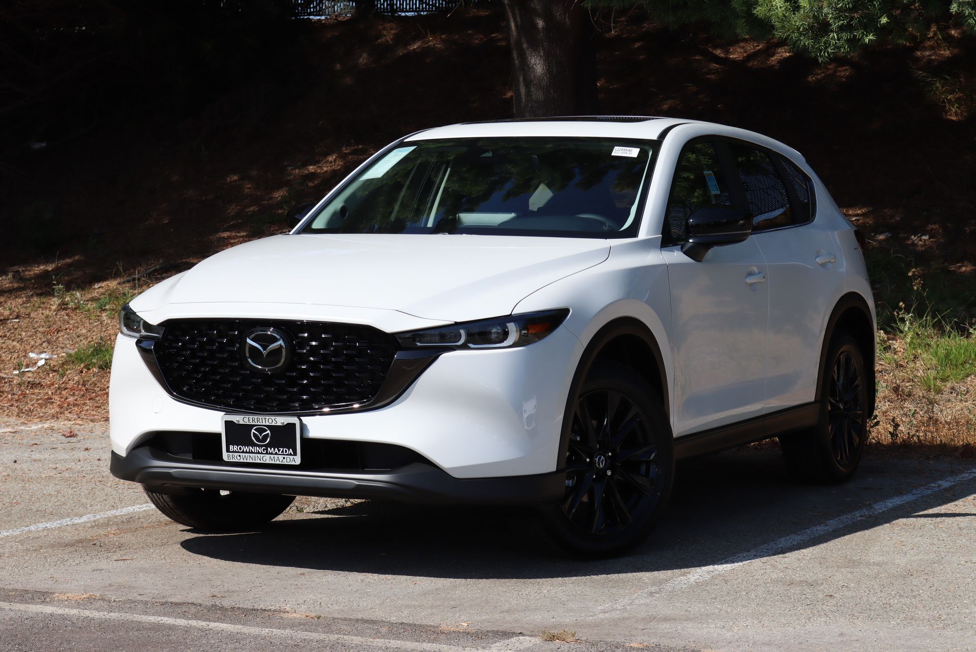 2025 Mazda CX-5 S Carbon Edition's photo