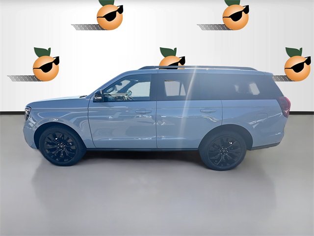 2025 Ford Expedition Platinum photo 4