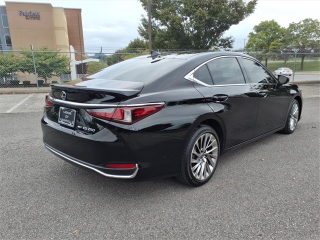 2021 Lexus ES 250 Ultra Luxury photo 3