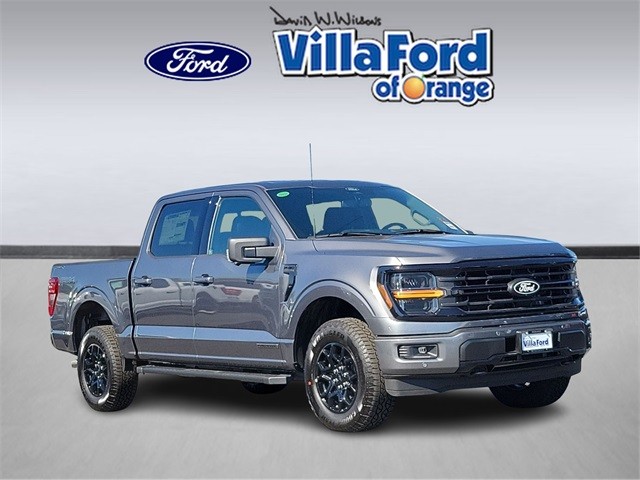Ⅺ☆ Customize FORD　　　　　　　　　　　　　【特典会員限定販売】 Ⅺ☆ Customize FORD【特典会員限定販売】