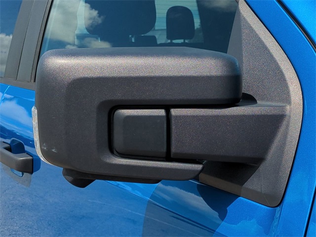 2021 Ford F-150 Tremor photo 11