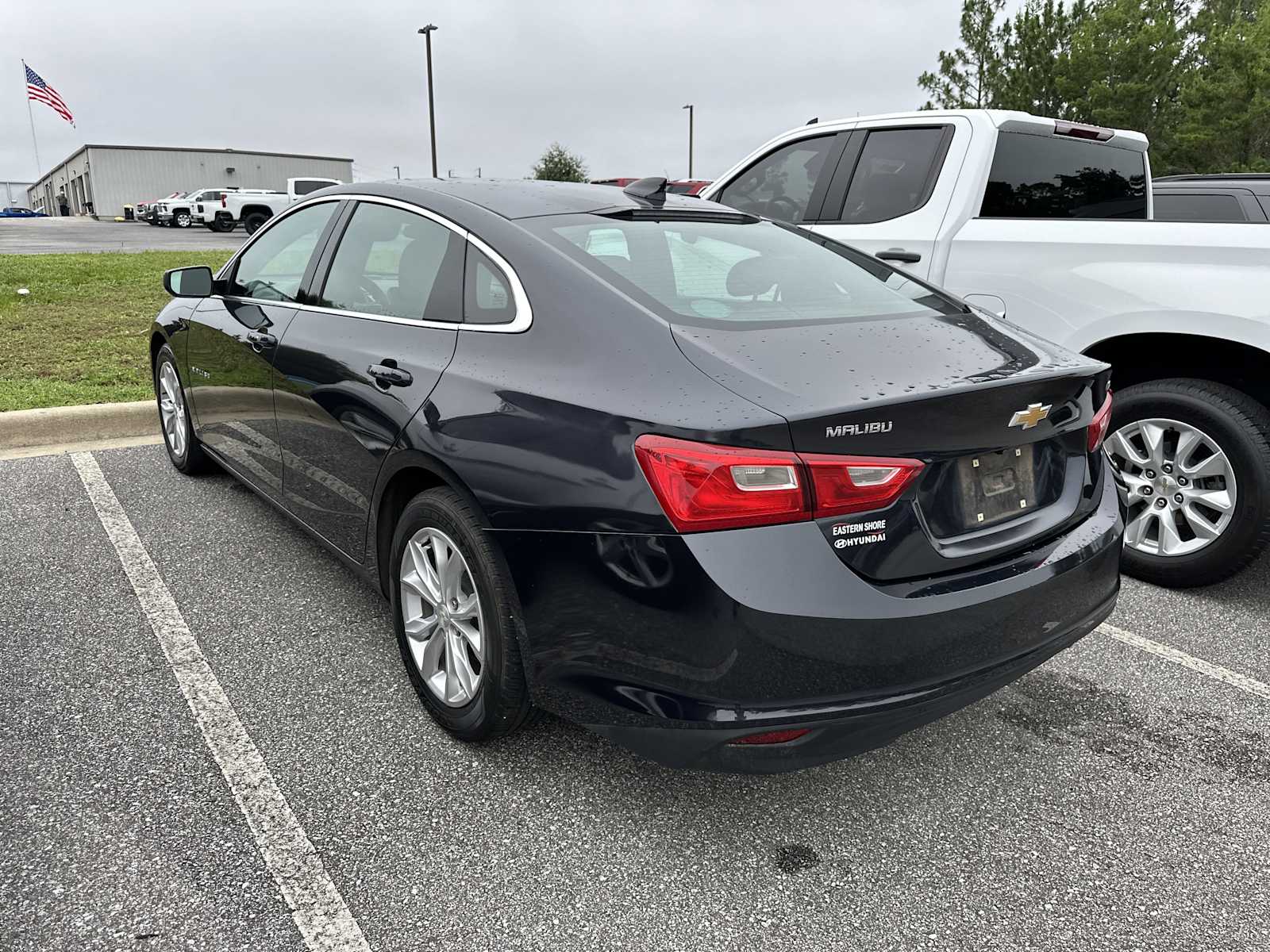 2023 Chevrolet Malibu 1LT photo 3