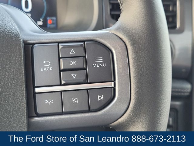 2025 Ford F-150 Lightning photo 21