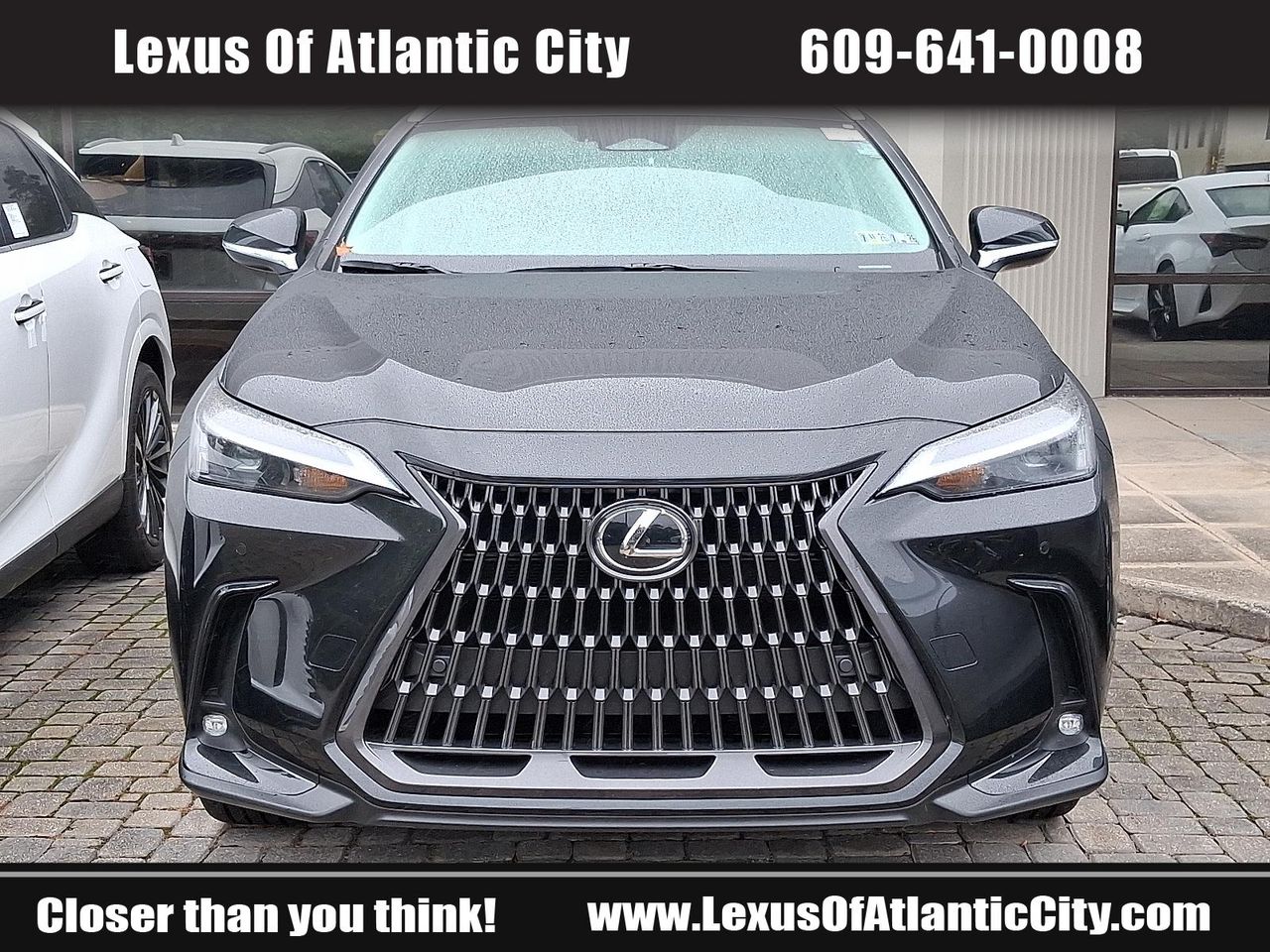 2025 Lexus NX 350h Premium AWD photo 2