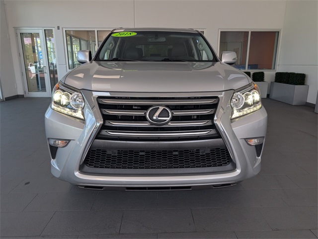2018 Lexus GX 460 photo 2