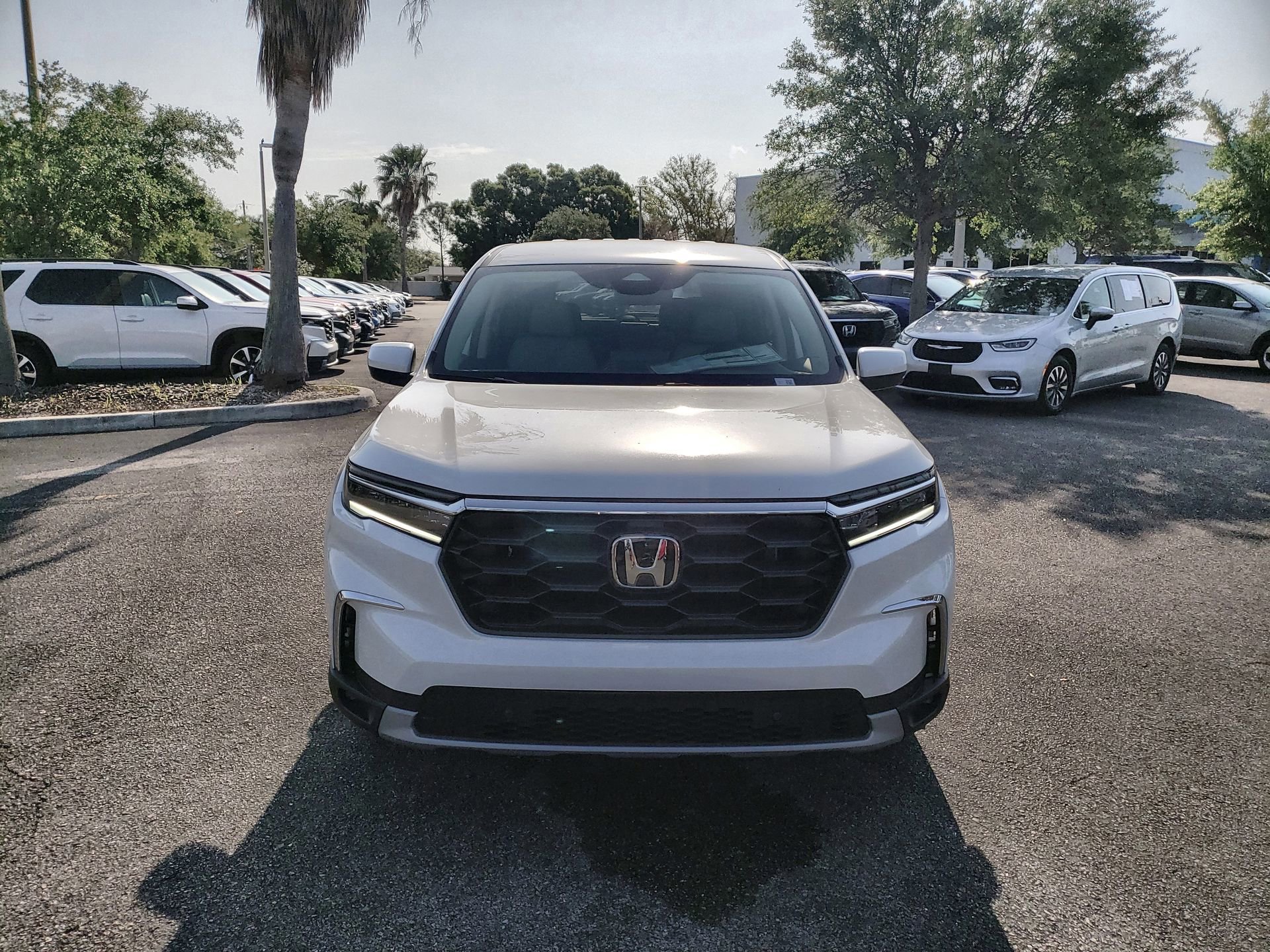 2025 Honda Pilot EX-L photo 3