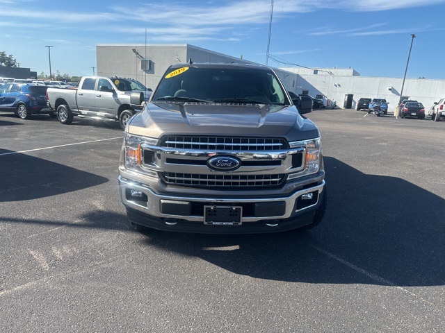 2019 Ford F-150 XL photo 2