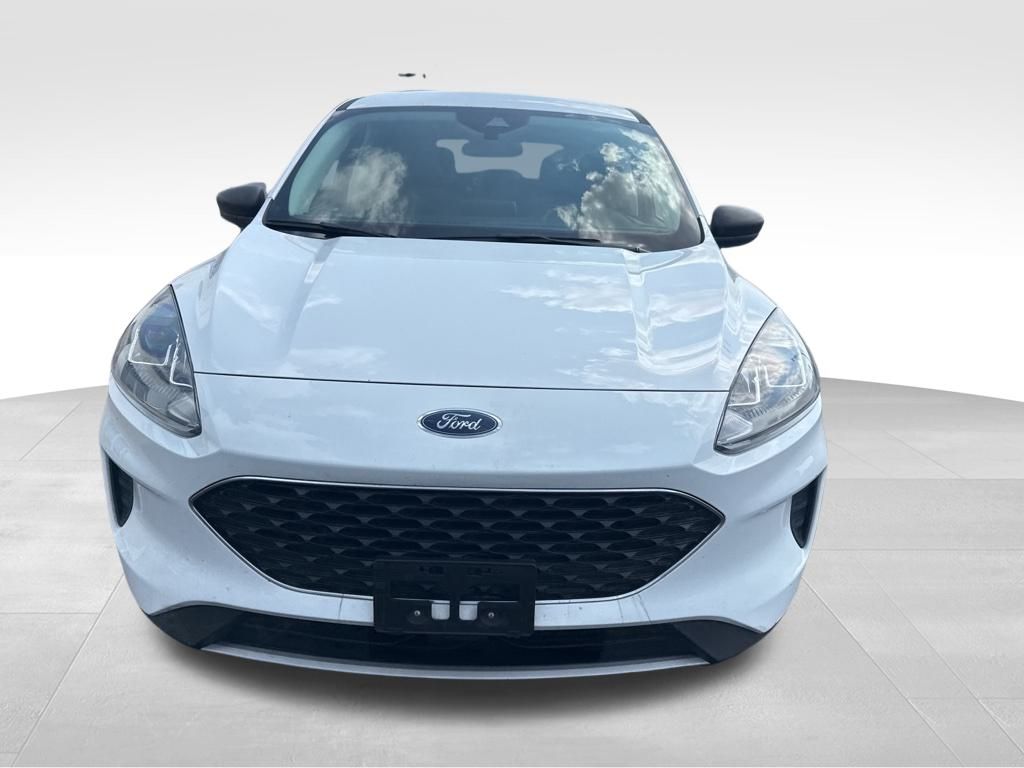 2022 Ford Escape Hybrid SE photo 4
