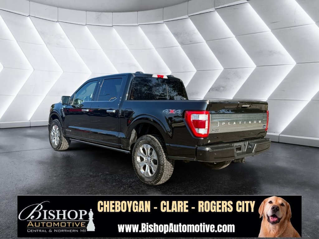 2021 Ford F-150 Platinum photo 8