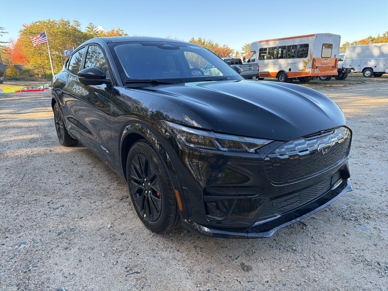 2025 Ford Mustang Mach-E Premium AWD's photo