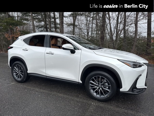 2025 Lexus NX 250's photo
