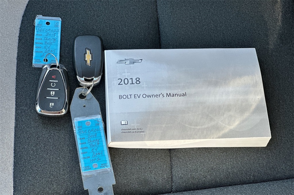 2018 Chevrolet Bolt EV photo 9