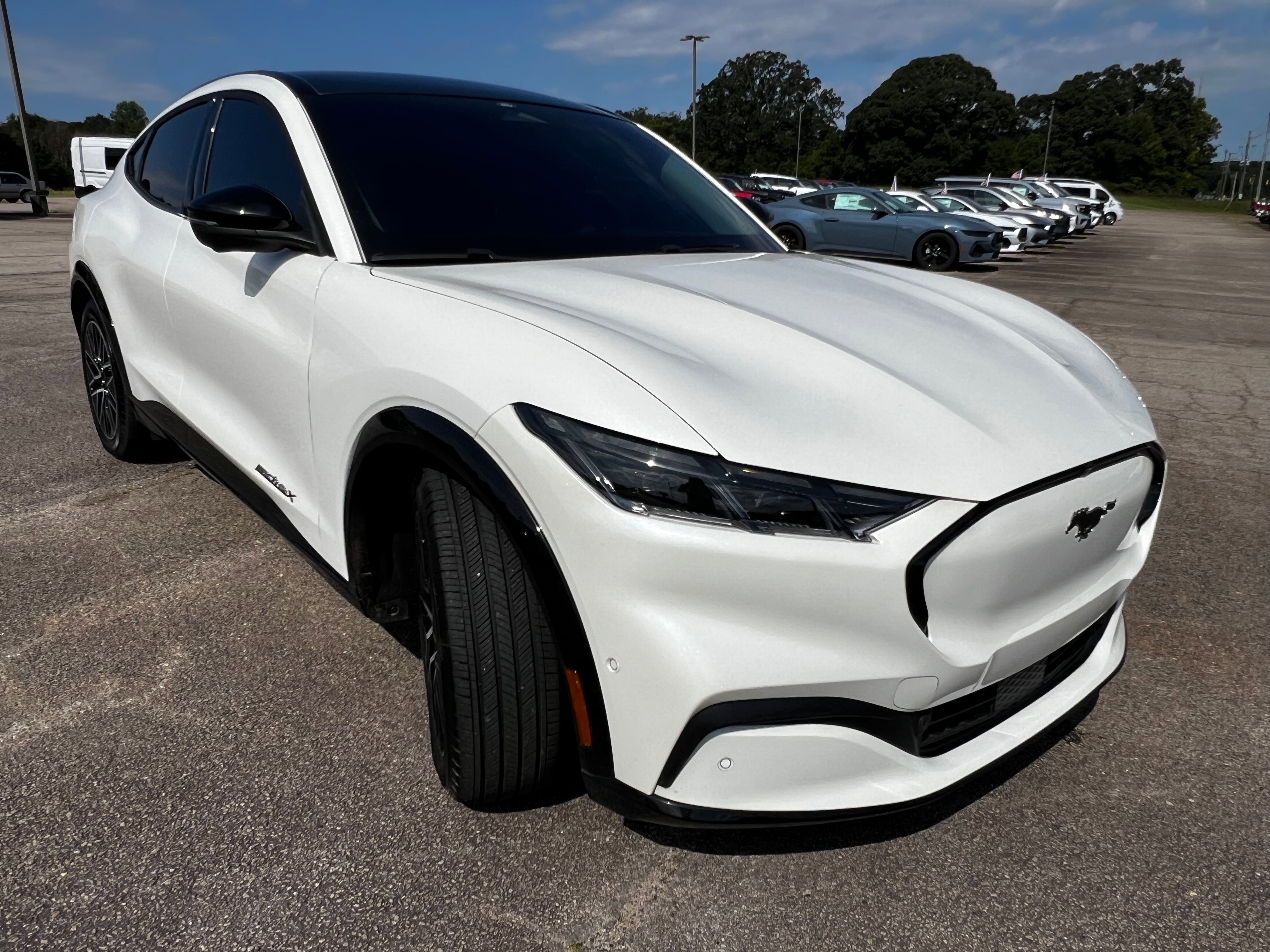 Used 2024 Ford Mustang Mach-E Premium AWD with VIN 3FMTK3SU0RMA14981 for sale in Commerce, GA