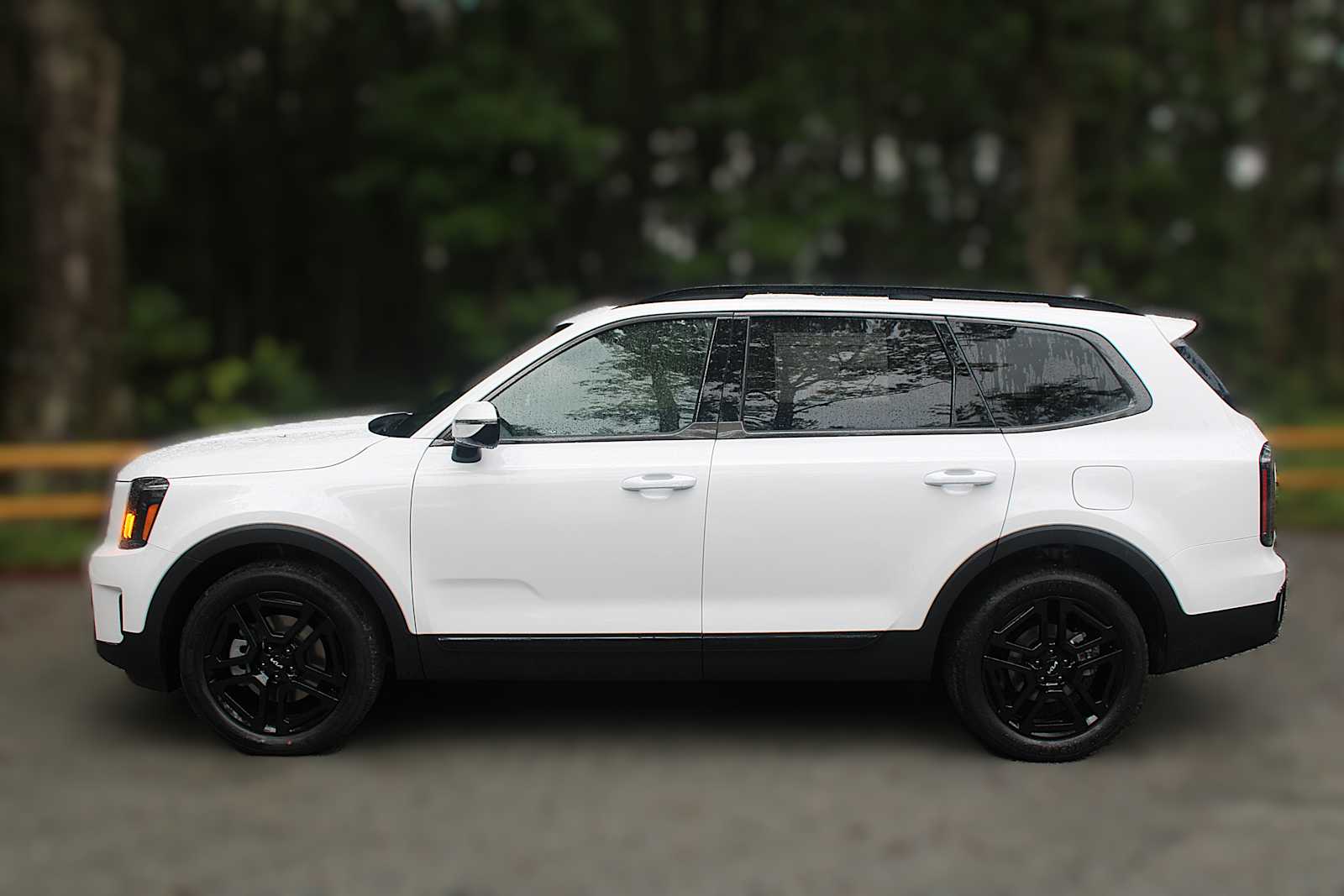 2025 Kia Telluride SX Prestige X-Line photo 4