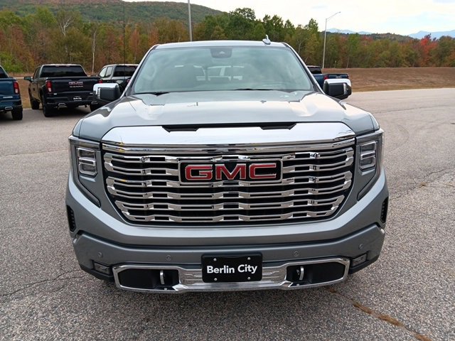 2025 Gmc Sierra 1500 Denali photo 2