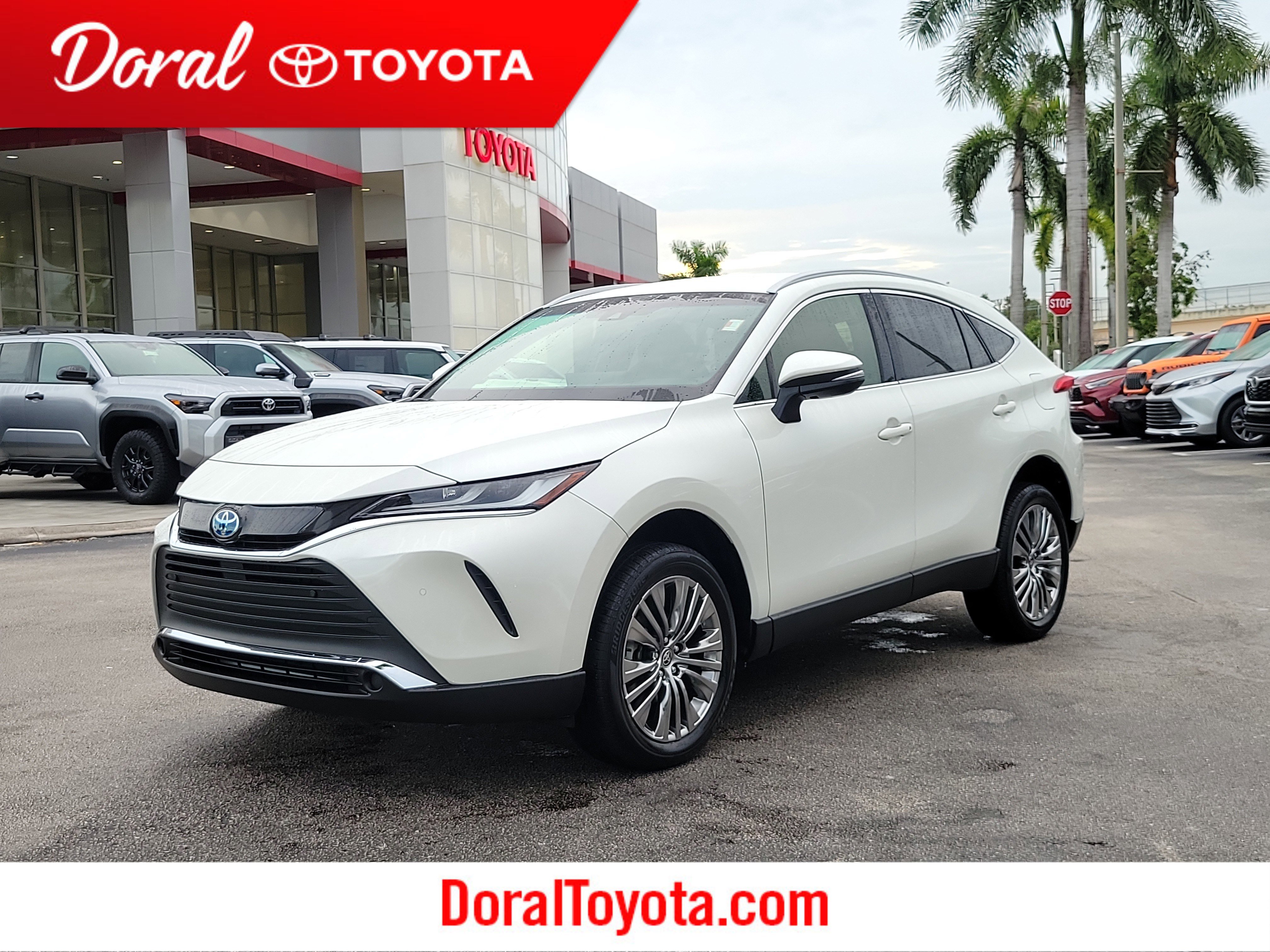 2022 Toyota Venza XLE's photo