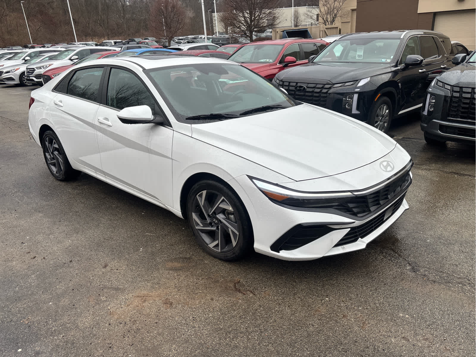 2025 Hyundai Elantra SEL's photo