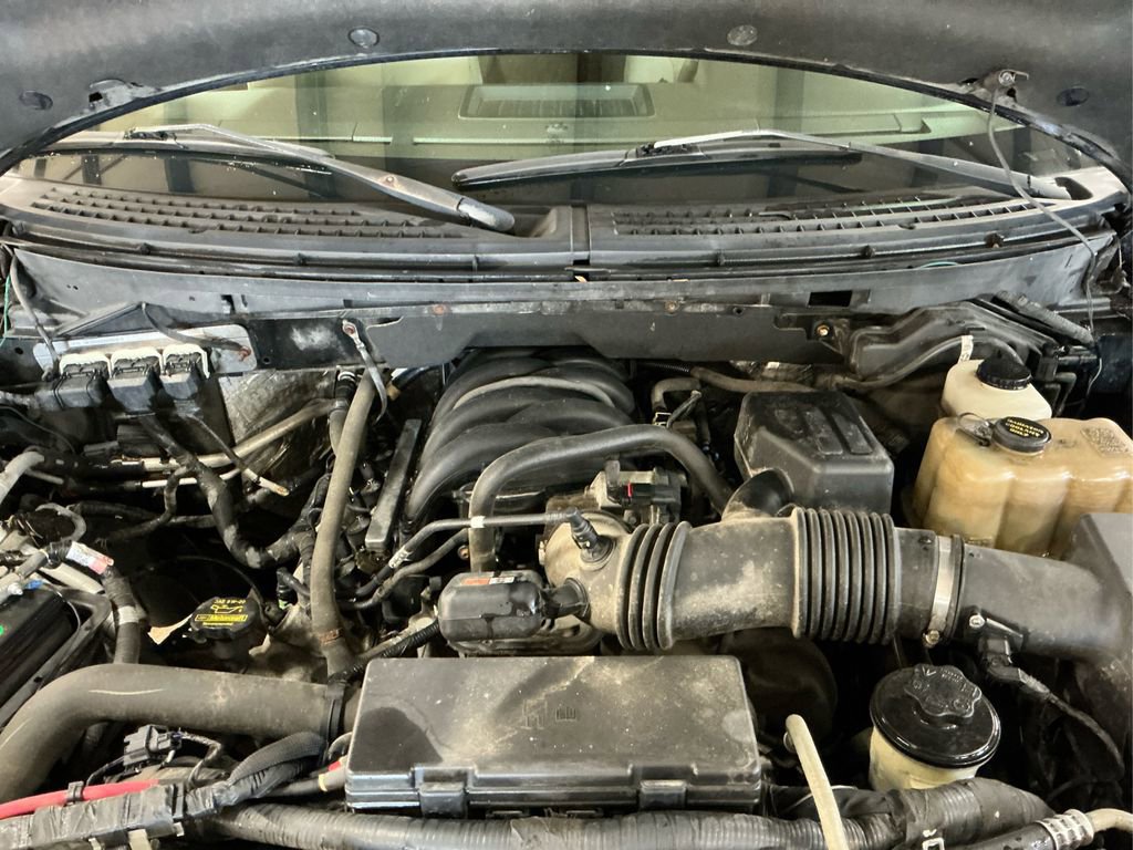 2010 Ford F-150 XL photo 11