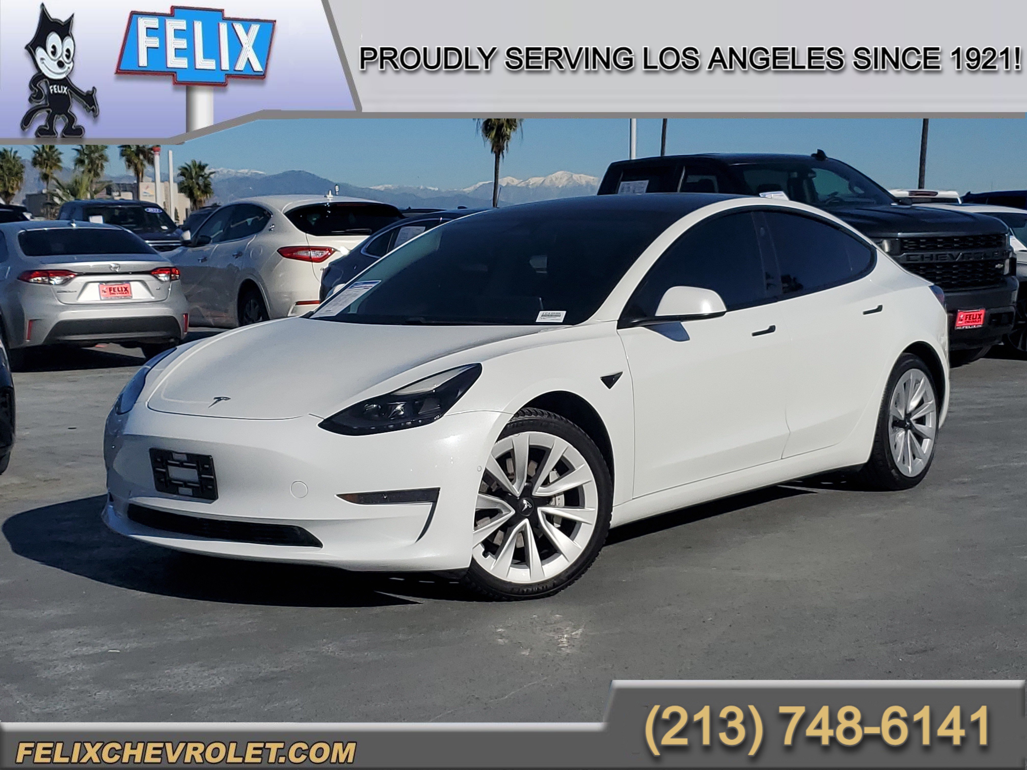 2021 Tesla Model 3 Base's photo