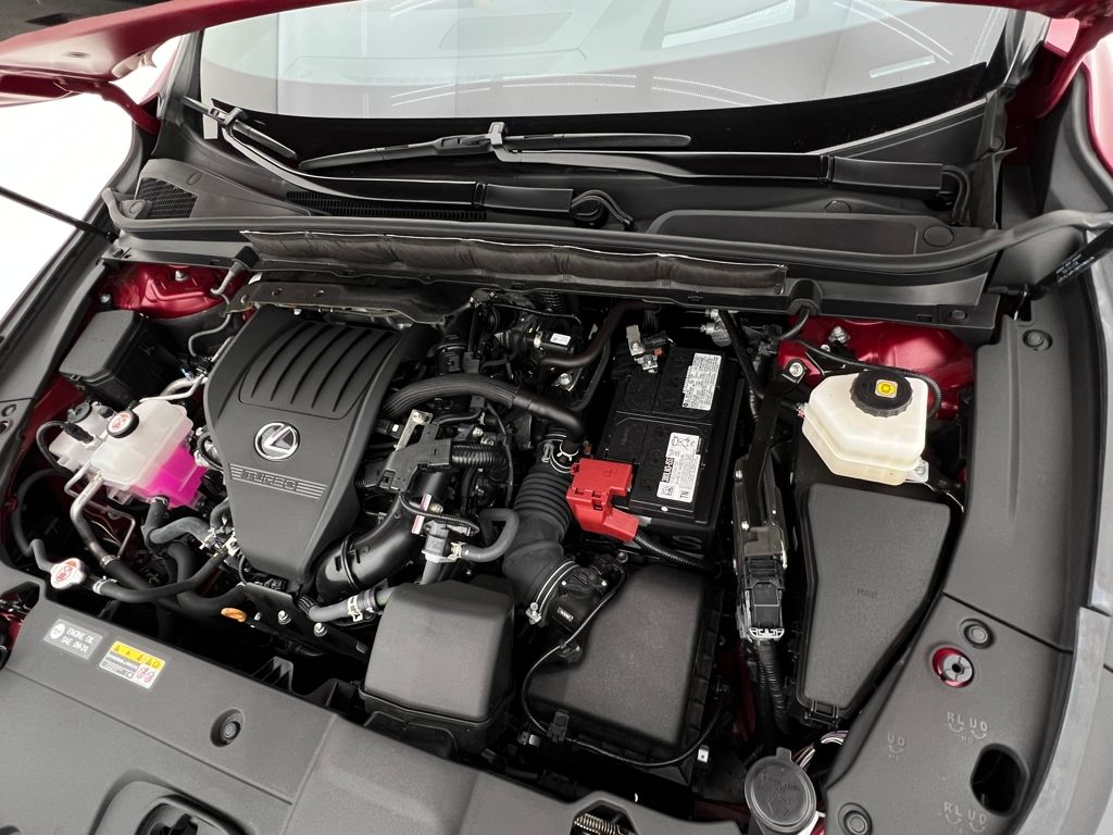2024 Lexus RX 350 Premium photo 28