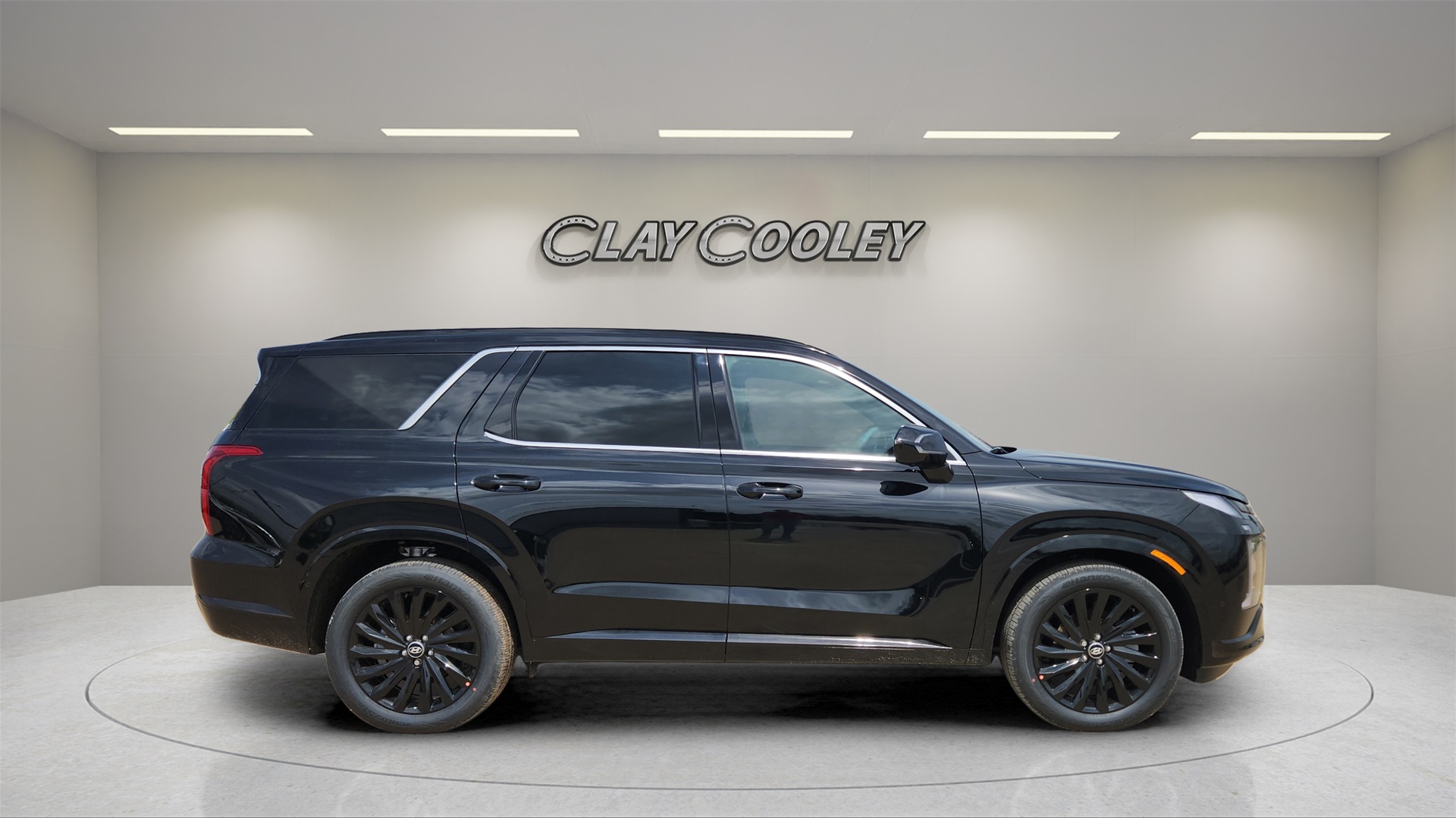 2025 Hyundai Palisade Calligraphy photo 2