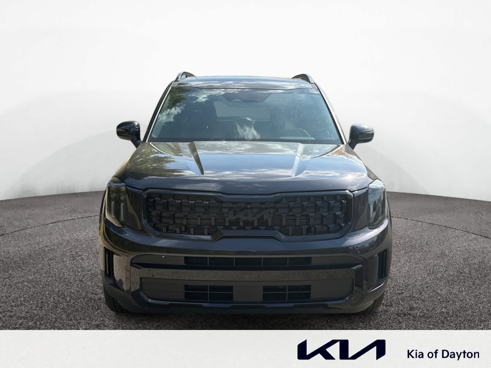 2025 Kia Telluride EX X-Line photo 7