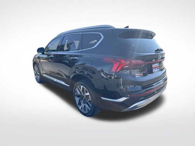 2023 Hyundai Santa Fe Calligraphy photo 3