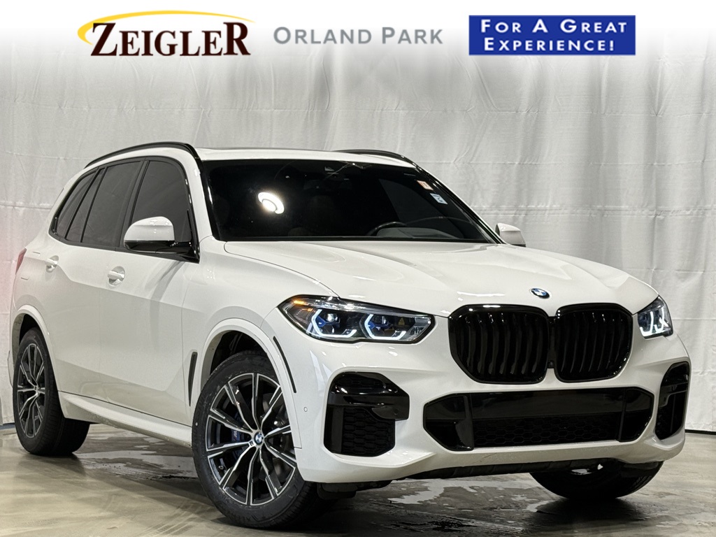 2023 BMW X5 40i's photo