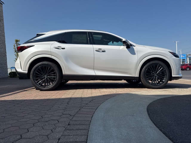 2025 Lexus RX 350 Premium AWD photo 20