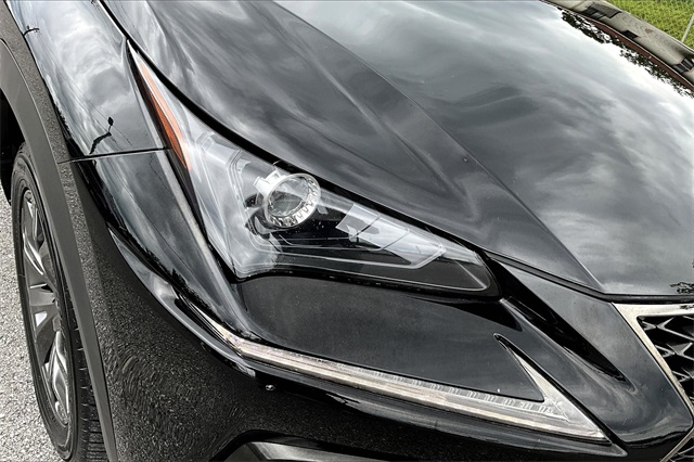 2021 Lexus NX 300 F SPORT photo 29