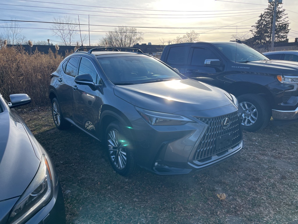 2024 Lexus NX Hybrid 350h's photo