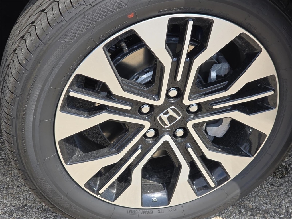 2026 Honda Odyssey Elite photo 10