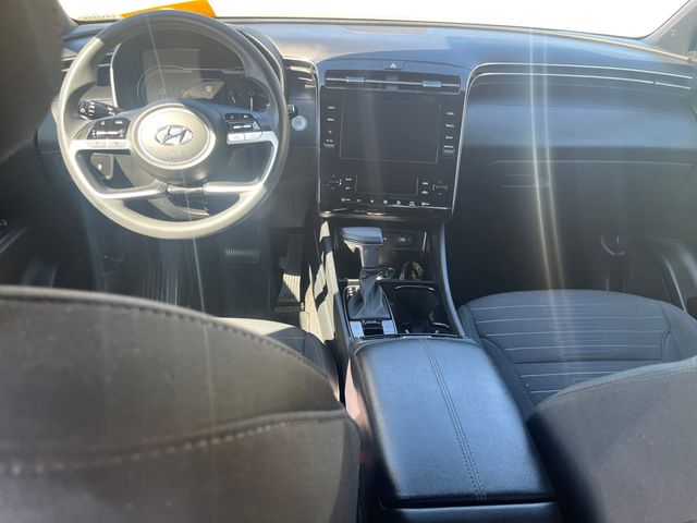 2024 Hyundai Santa Cruz SEL photo 10