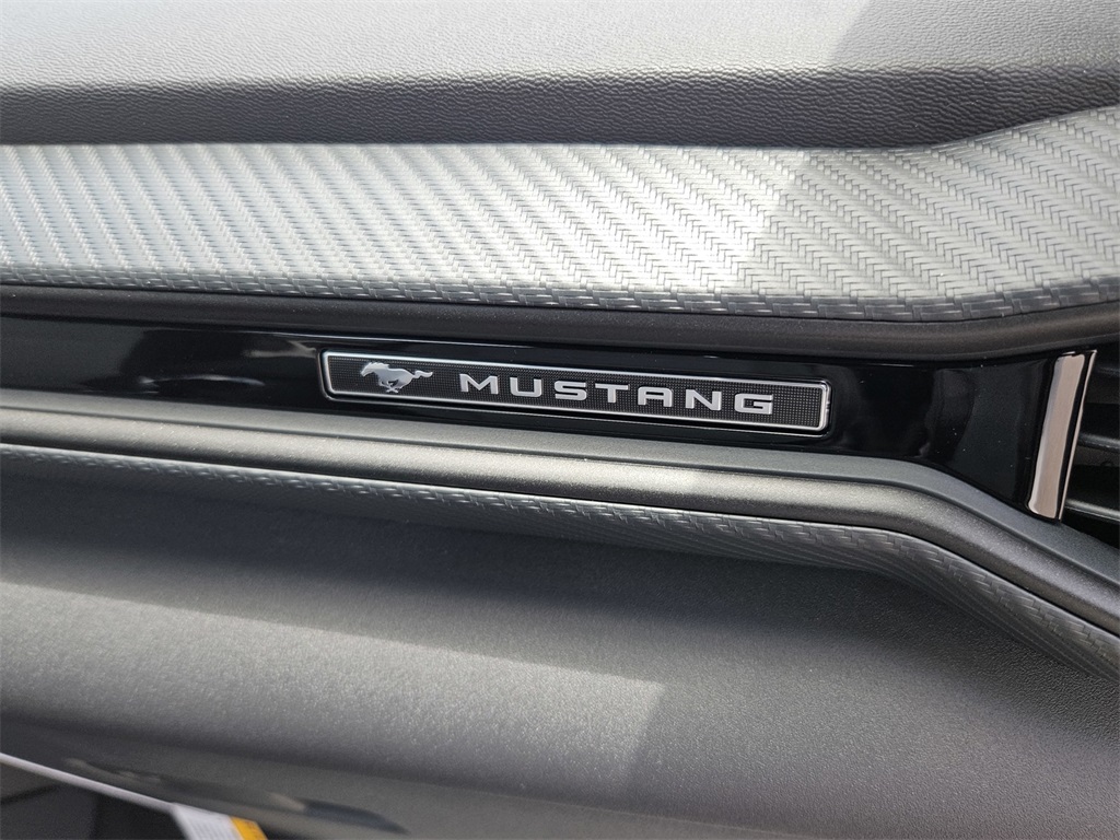 2025 Ford Mustang GT photo 26
