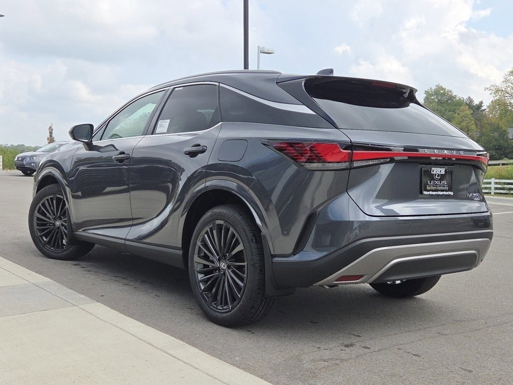 2025 Lexus RX 350 Premium photo 19